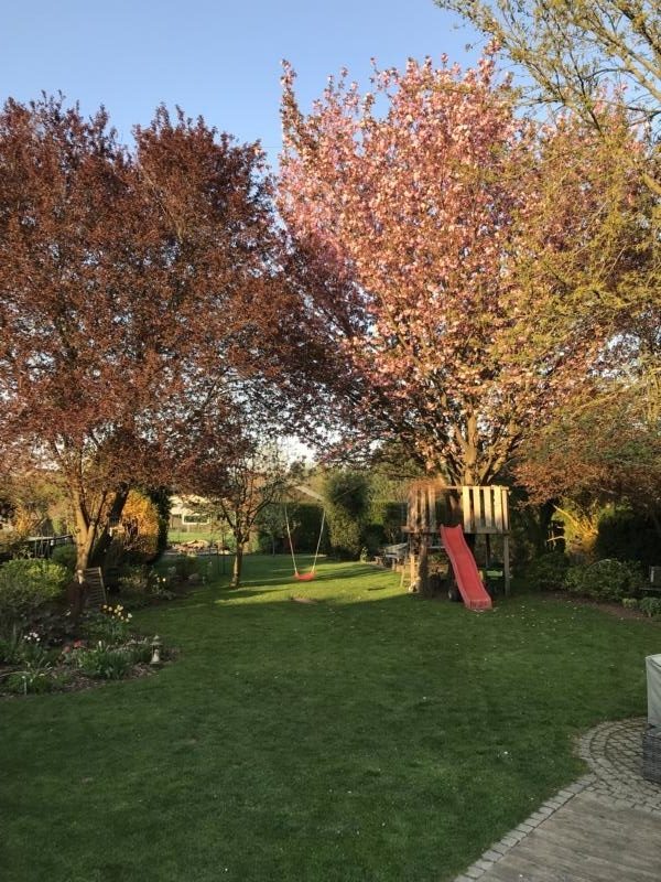 Immobilienangebot - Düsseldorf - Alle - Freistehendes und umfangreich modernisiertes Einfamilienhaus mit sehr schön angelegtem Garten
