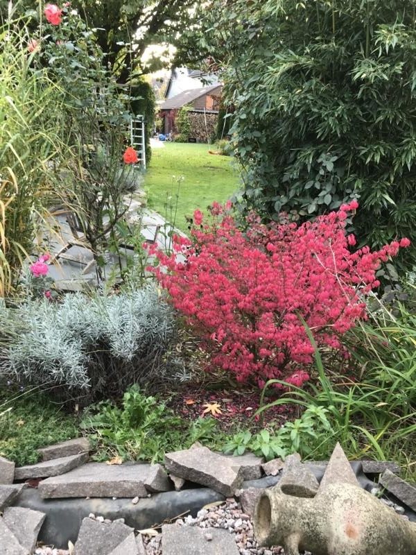 Immobilienangebot - Düsseldorf - Alle - Freistehendes und umfangreich modernisiertes Einfamilienhaus mit sehr schön angelegtem Garten