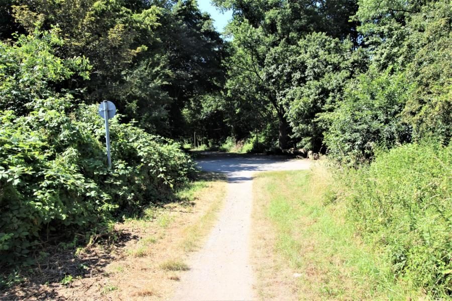 Immobilienangebot - Düsseldorf - Alle - Eller / In der Elb:
komplett modernisiertes Mehrfamilienhaus mit großem Garten