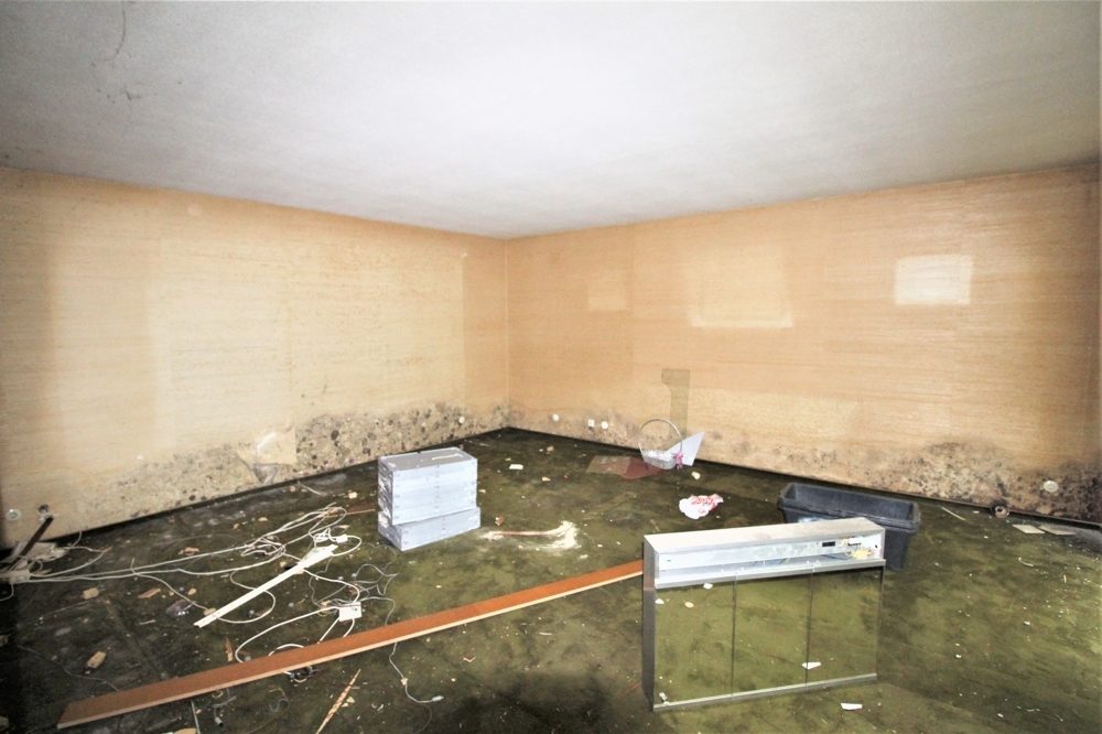 Immobilienangebot - Düsseldorf - Alle - Lörick: sanierungsbedürftiges Mehrfamilienhaus mit 8 Wohneinheiten und einem Bungalow im Hinterhof
