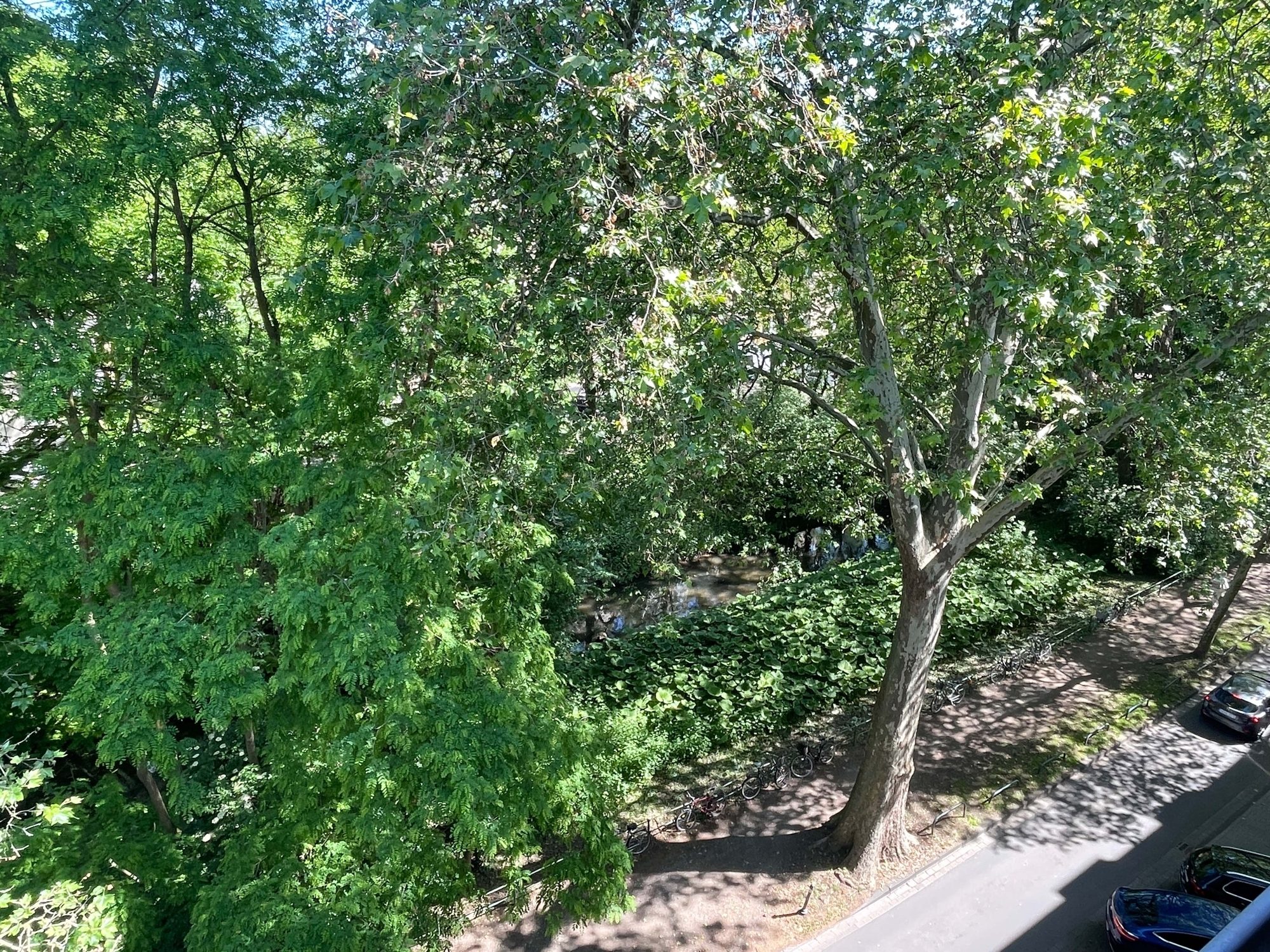 Immobilienangebot - Düsseldorf - Alle - Großzügige und leerstehende 3-Zimmerwohnung in Bilk – direkt an der Düssel!
