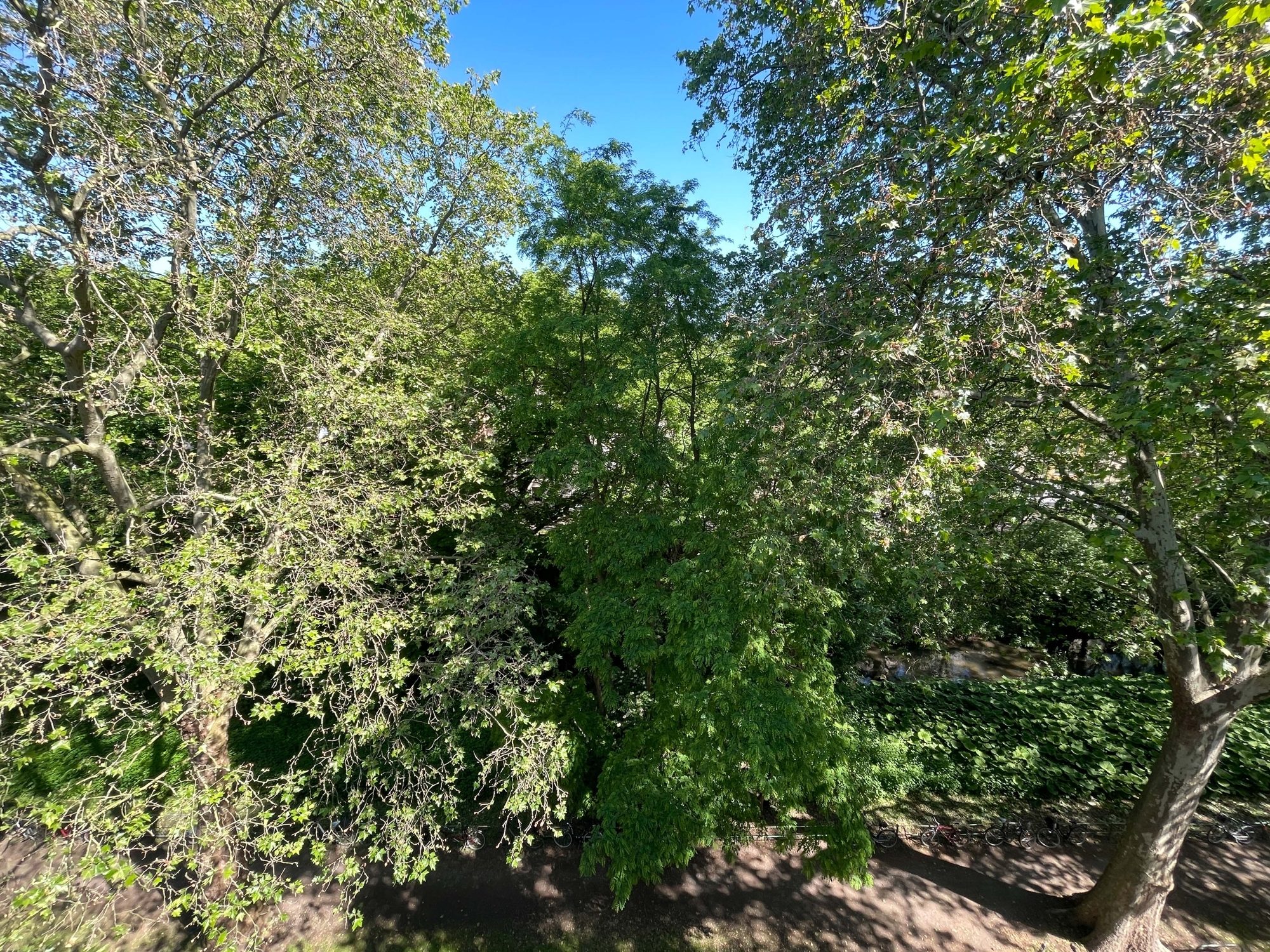 Immobilienangebot - Düsseldorf - Alle - Großzügige und leerstehende 3-Zimmerwohnung in Bilk – direkt an der Düssel!
