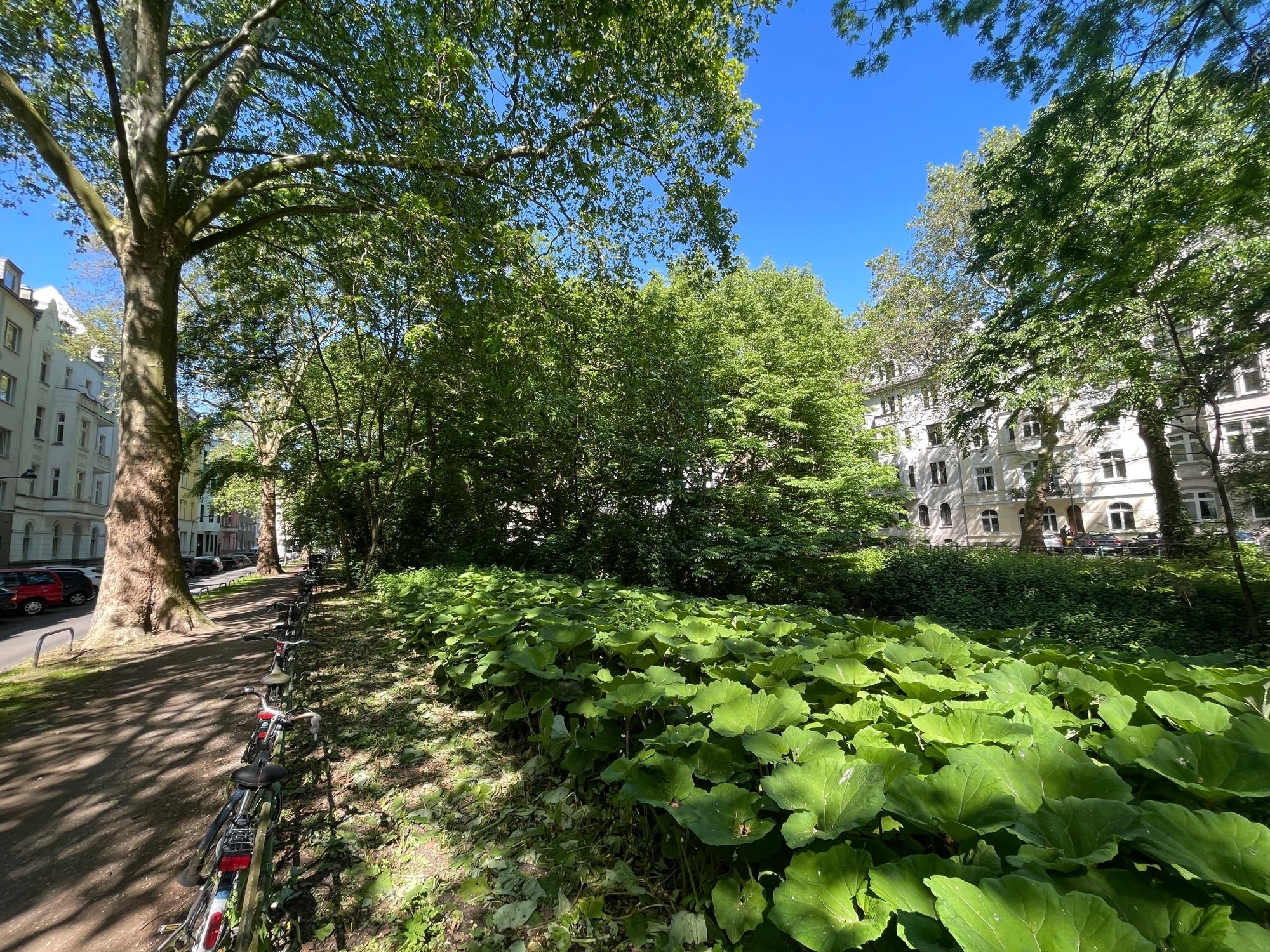 Immobilienangebot - Düsseldorf - Alle - Großzügige und leerstehende 3-Zimmerwohnung in Bilk – direkt an der Düssel!