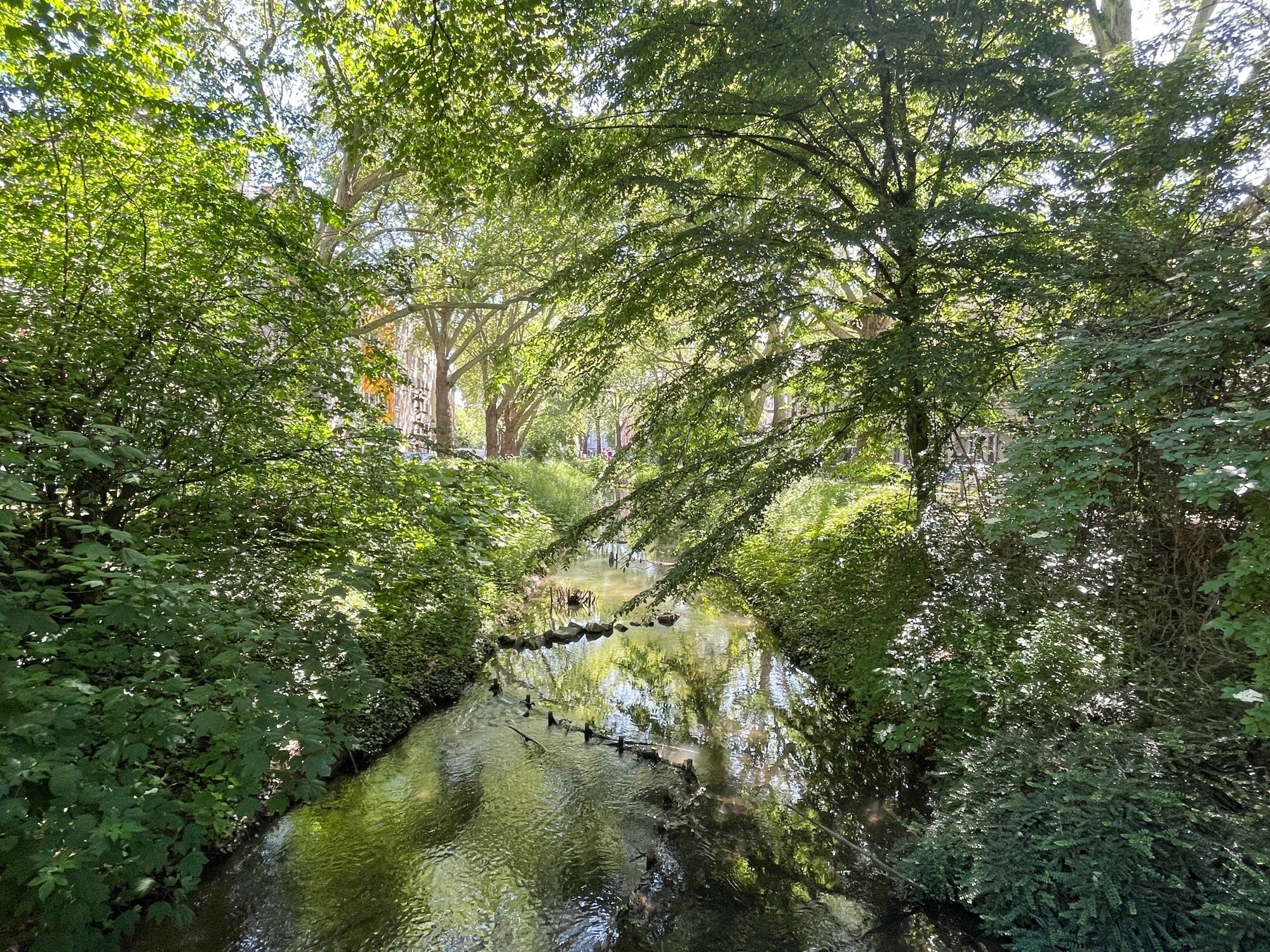 Immobilienangebot - Düsseldorf - Alle - Großzügige und leerstehende 3-Zimmerwohnung in Bilk – direkt an der Düssel!