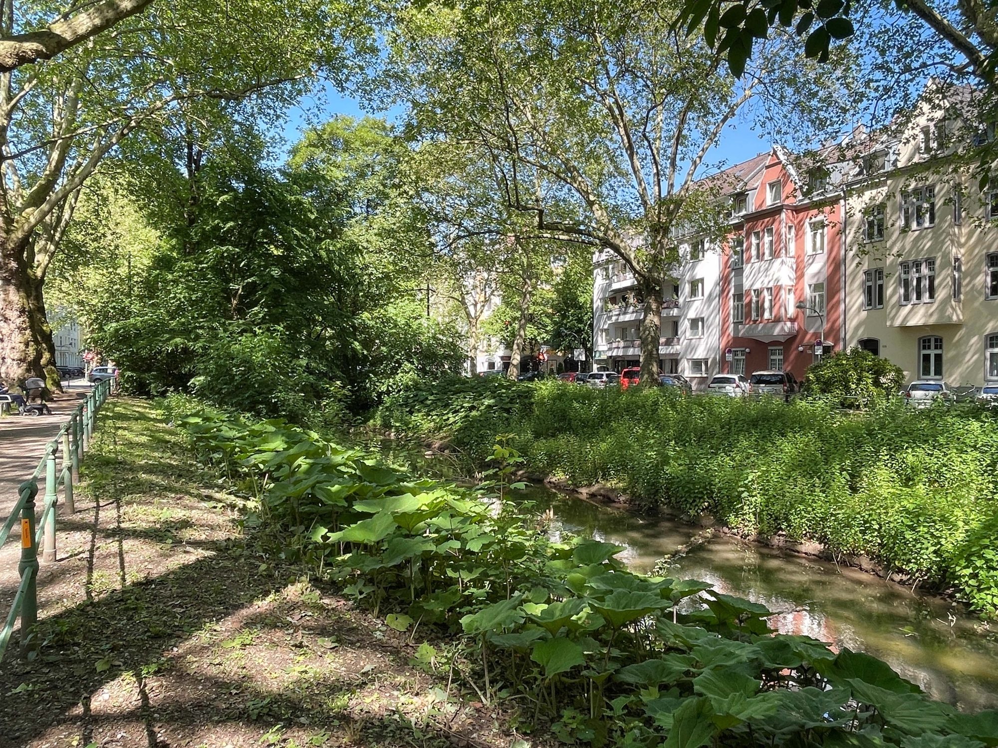Immobilienangebot - Düsseldorf - Alle - Großzügige und leerstehende 3-Zimmerwohnung in Bilk – direkt an der Düssel!