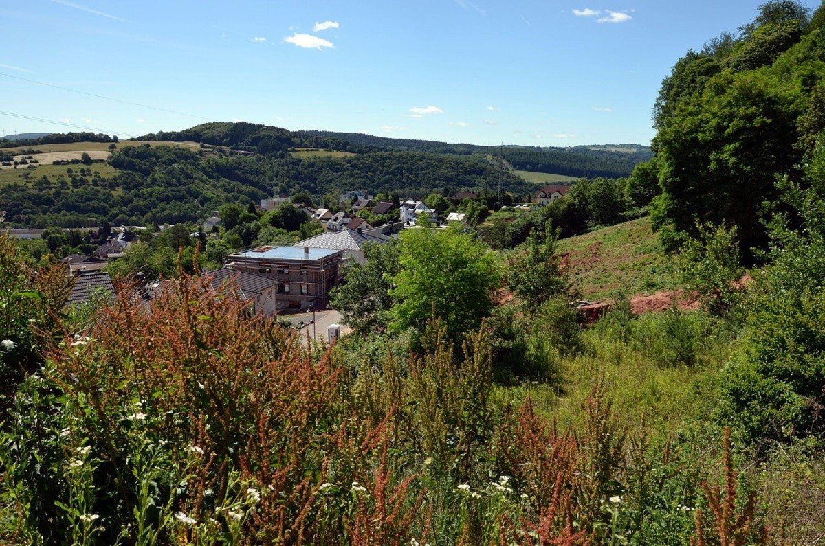 Volksbank Trier Eifel Immobilien GmbH - Immobilienangebot - Saarburg - Alle - Traumhaft gelegenes Baugrundstück