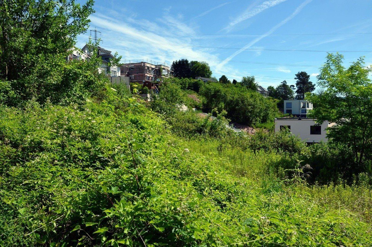 Volksbank Trier Eifel Immobilien GmbH - Immobilienangebot - Saarburg - Alle - Traumhaft gelegenes Baugrundstück