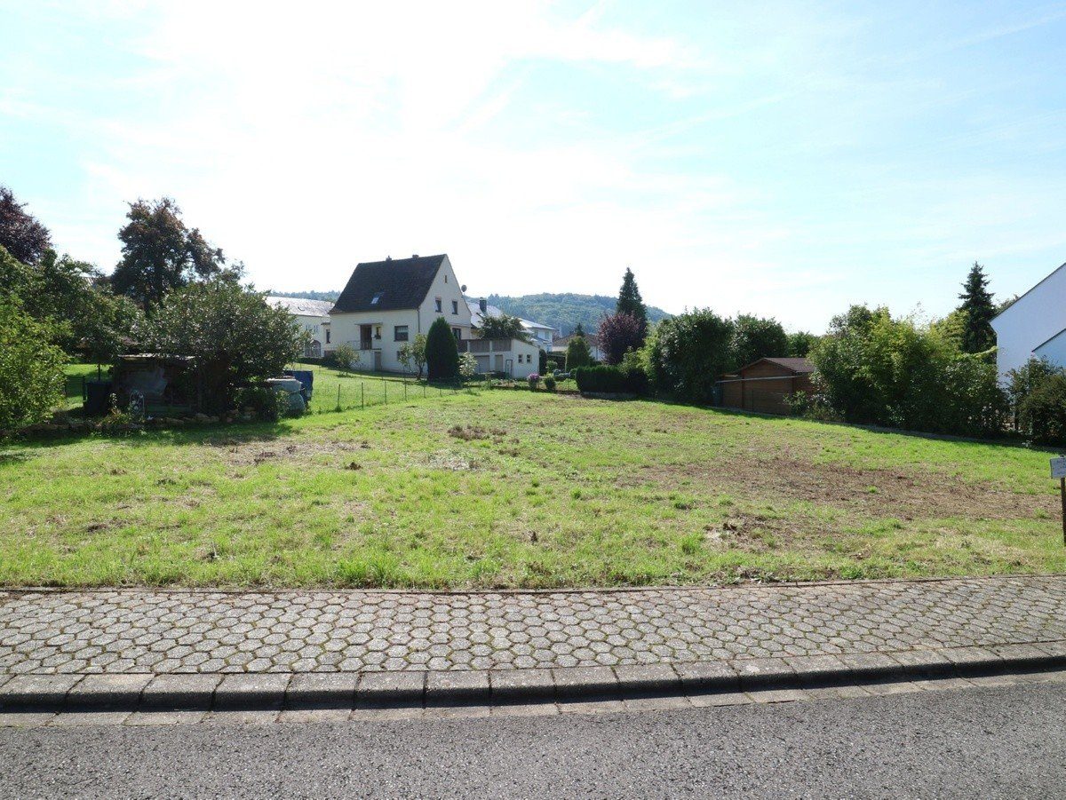 Volksbank Trier Eifel Immobilien GmbH - Immobilienangebot - Kanzem - Alle - Echte Rarität in beliebtem Weinort an der Saar