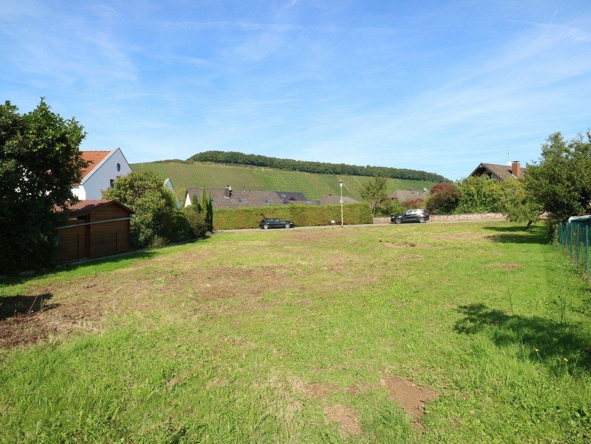 Volksbank Trier Eifel Immobilien GmbH - Immobilienangebot - Kanzem - Alle - Echte Rarität in beliebtem Weinort an der Saar