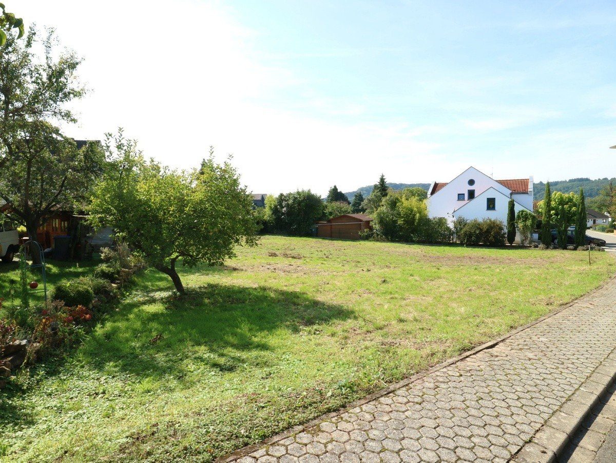 Volksbank Trier Eifel Immobilien GmbH - Immobilienangebot - Kanzem - Alle - Echte Rarität in beliebtem Weinort an der Saar