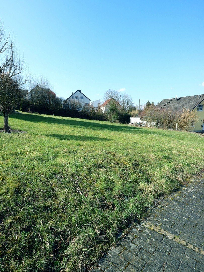 Volksbank Trier Eifel Immobilien GmbH - Immobilienangebot - Temmels - Alle - Seltene Gelegenheit - Baugrundstück in Temmels