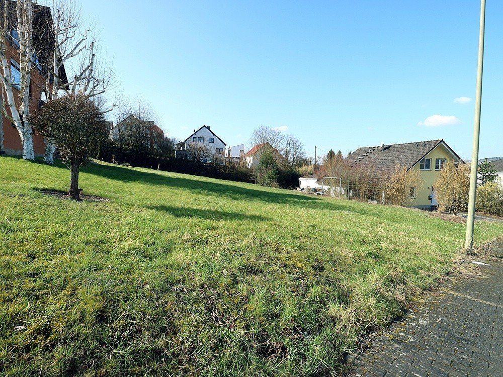 Volksbank Trier Eifel Immobilien GmbH - Immobilienangebot - Temmels - Alle - Seltene Gelegenheit - Baugrundstück in Temmels