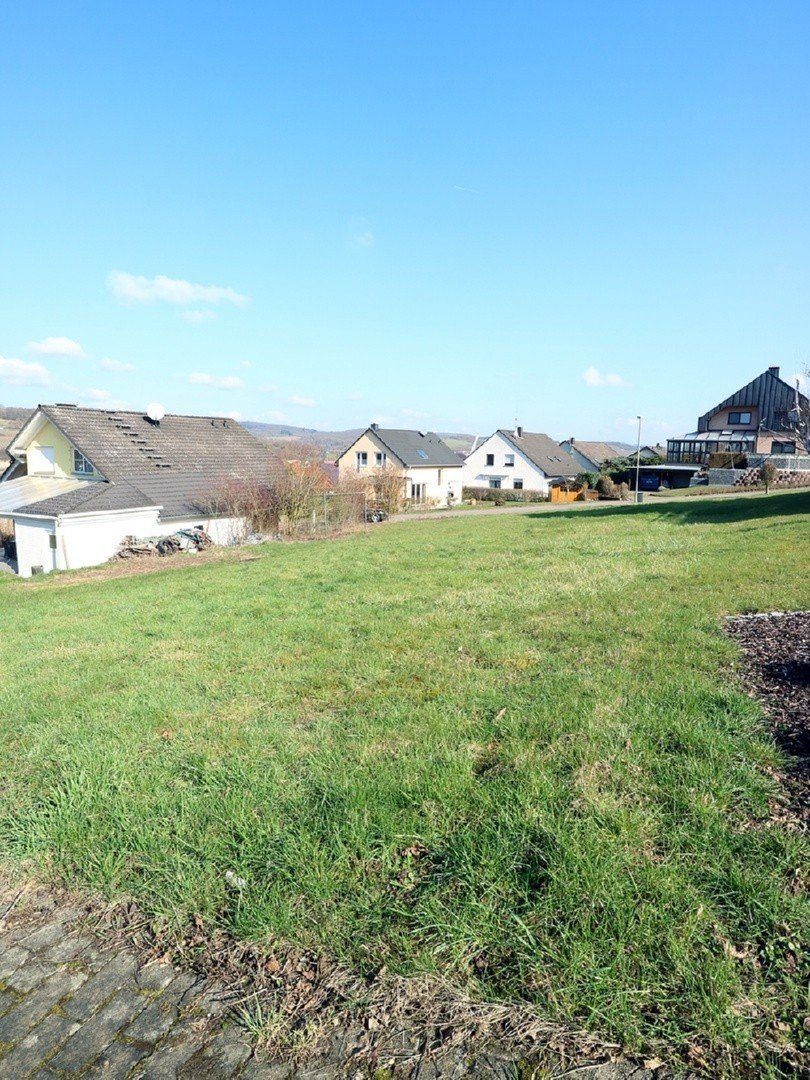 Volksbank Trier Eifel Immobilien GmbH - Immobilienangebot - Temmels - Alle - Seltene Gelegenheit - Baugrundstück in Temmels