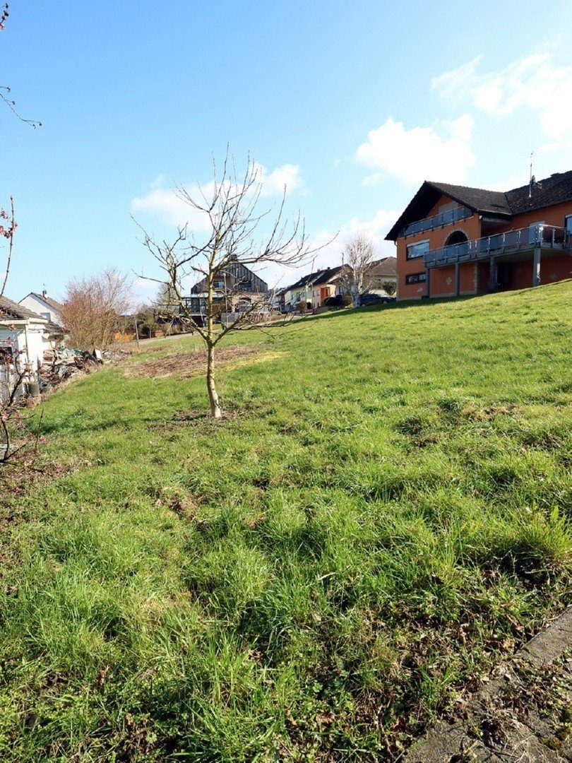 Volksbank Trier Eifel Immobilien GmbH - Immobilienangebot - Temmels - Alle - Seltene Gelegenheit - Baugrundstück in Temmels