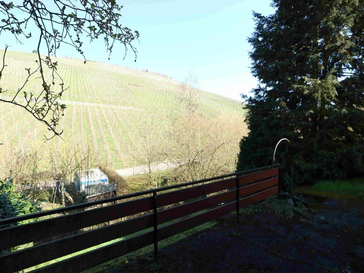 Volksbank Trier Eifel Immobilien GmbH - Immobilienangebot - Kasel - Alle - Wohnen mit traumhaftem Blick auf die Weinberge