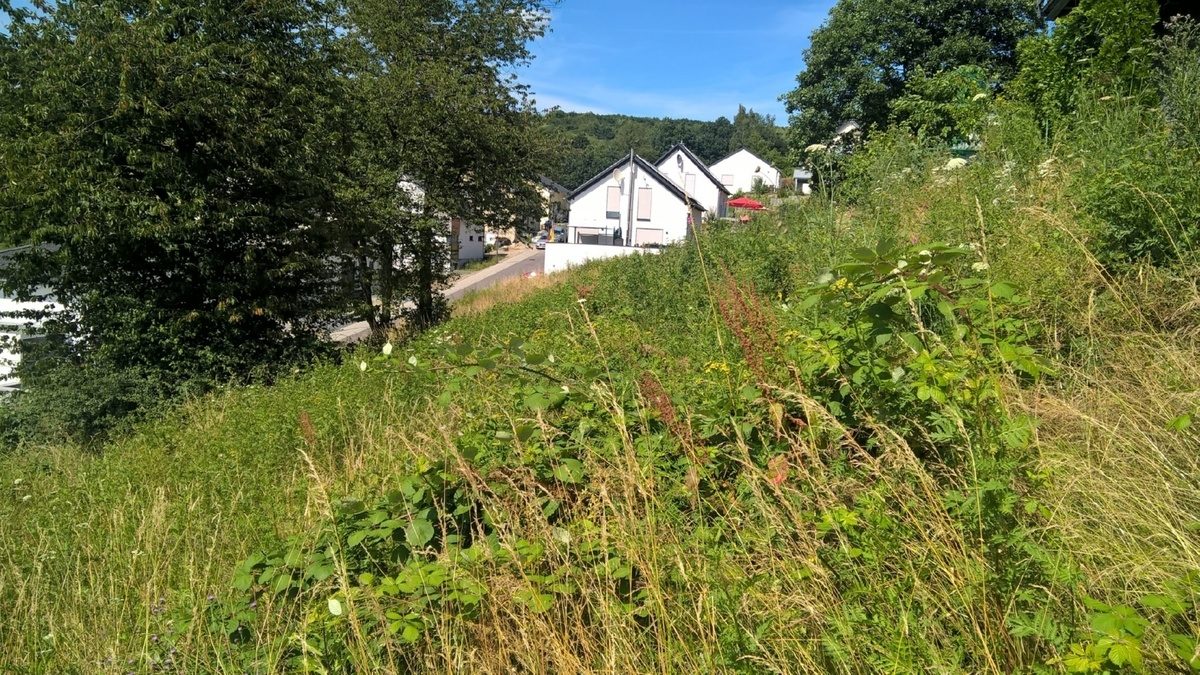 Volksbank Trier Eifel Immobilien GmbH - Immobilienangebot - Kasel - Grundstücke - Baugrundstück im Neubaugebiet - Mehrfamilienhausbebauung möglich!