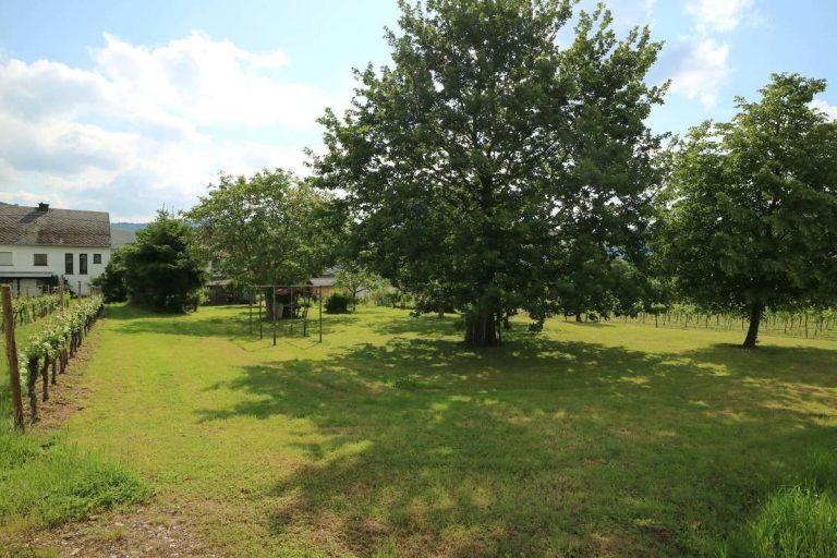 Volksbank Trier Eifel Immobilien GmbH - Immobilienangebot - Leiwen - Alle - Nicht nur der Wein genießt hier die beste Lage