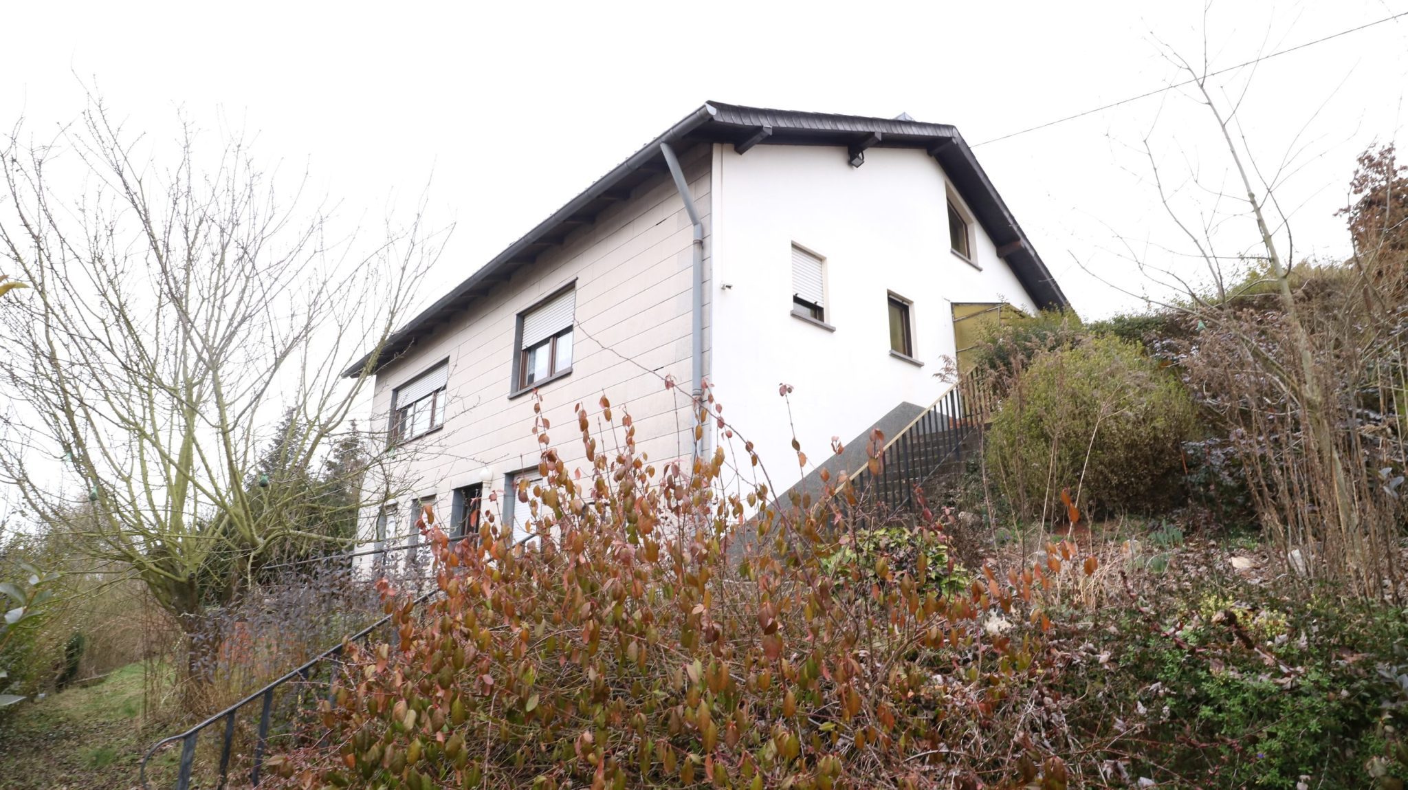 Volksbank Trier Eifel Immobilien GmbH - Immobilienangebot - Trier - Zweifamilienhaus - Großes Glück für die große Familie