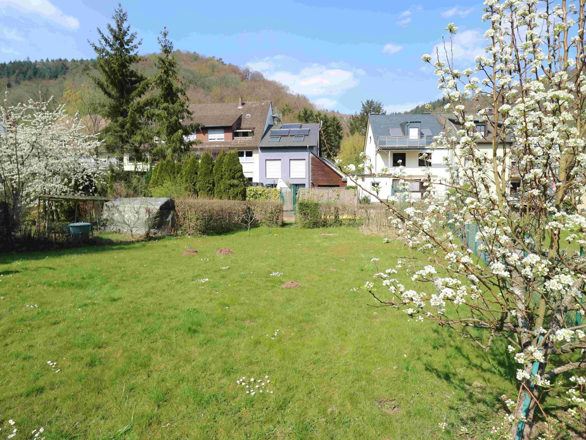 Volksbank Trier Eifel Immobilien GmbH - Immobilienangebot - Trier - Doppelhaushälfte - Stadtnah wohnen in grüner Lage