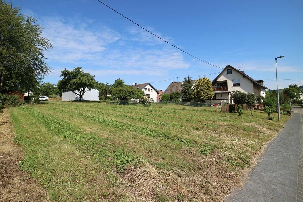 Volksbank Trier Eifel Immobilien GmbH - Immobilienangebot - Leiwen - Grundstücke - Voll erschlossenes Baugrundstück in sonniger Lage