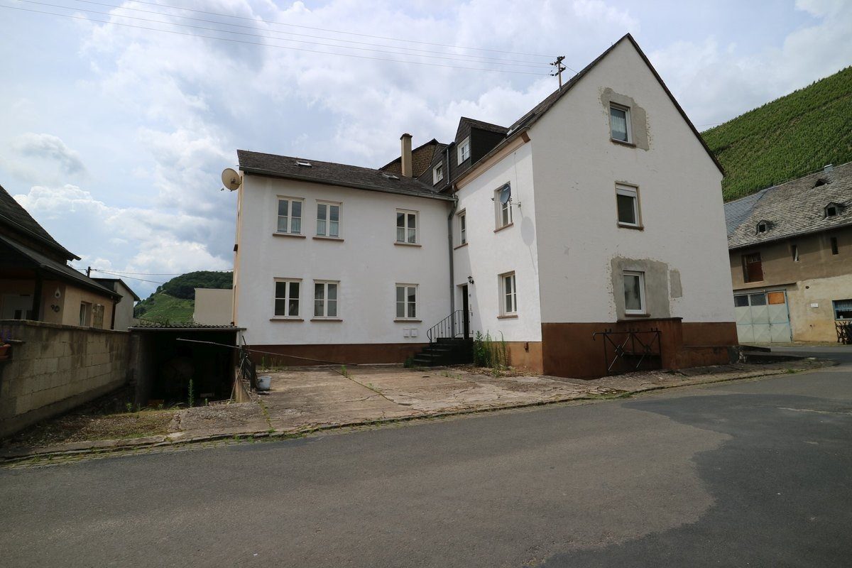 Volksbank Trier Eifel Immobilien GmbH - Immobilienangebot - Klüsserath - Alle - Dreifamilienhaus zwischen Weinberg und Mosel
