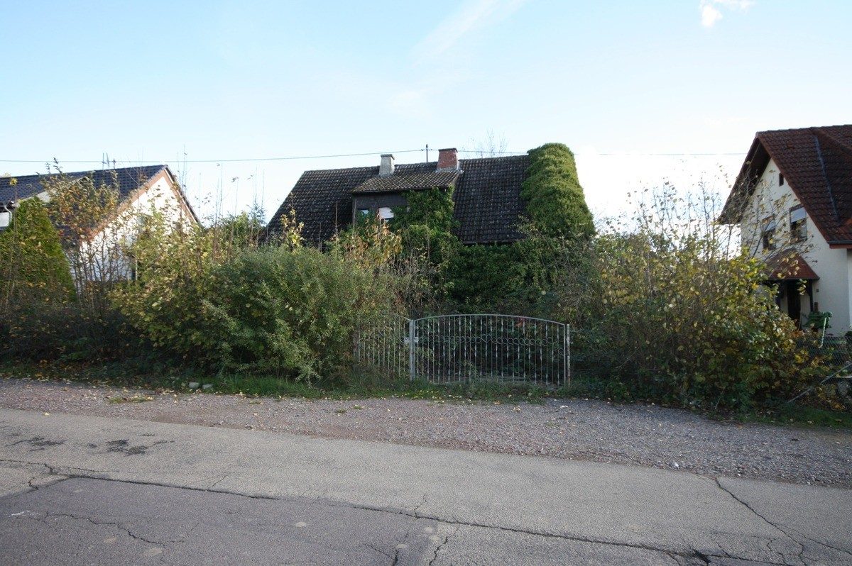 Volksbank Trier Eifel Immobilien GmbH - Immobilienangebot - Palzem - Grundstücke - Baugrund mit Abrissobjekt - ideal für Grenzpendler