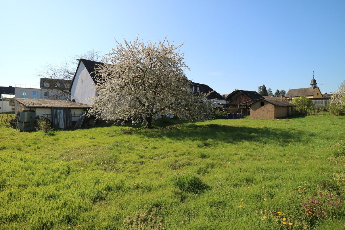 Volksbank Trier Eifel Immobilien GmbH - Immobilienangebot - Longuich - Grundstücke - Eine gute Gelegenheit für Investoren