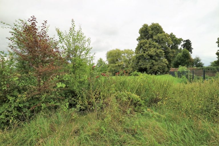 Volksbank Trier Eifel Immobilien GmbH - Immobilienangebot - Bekond - Grundstücke - Das passende Grundstück für Ihren Plan