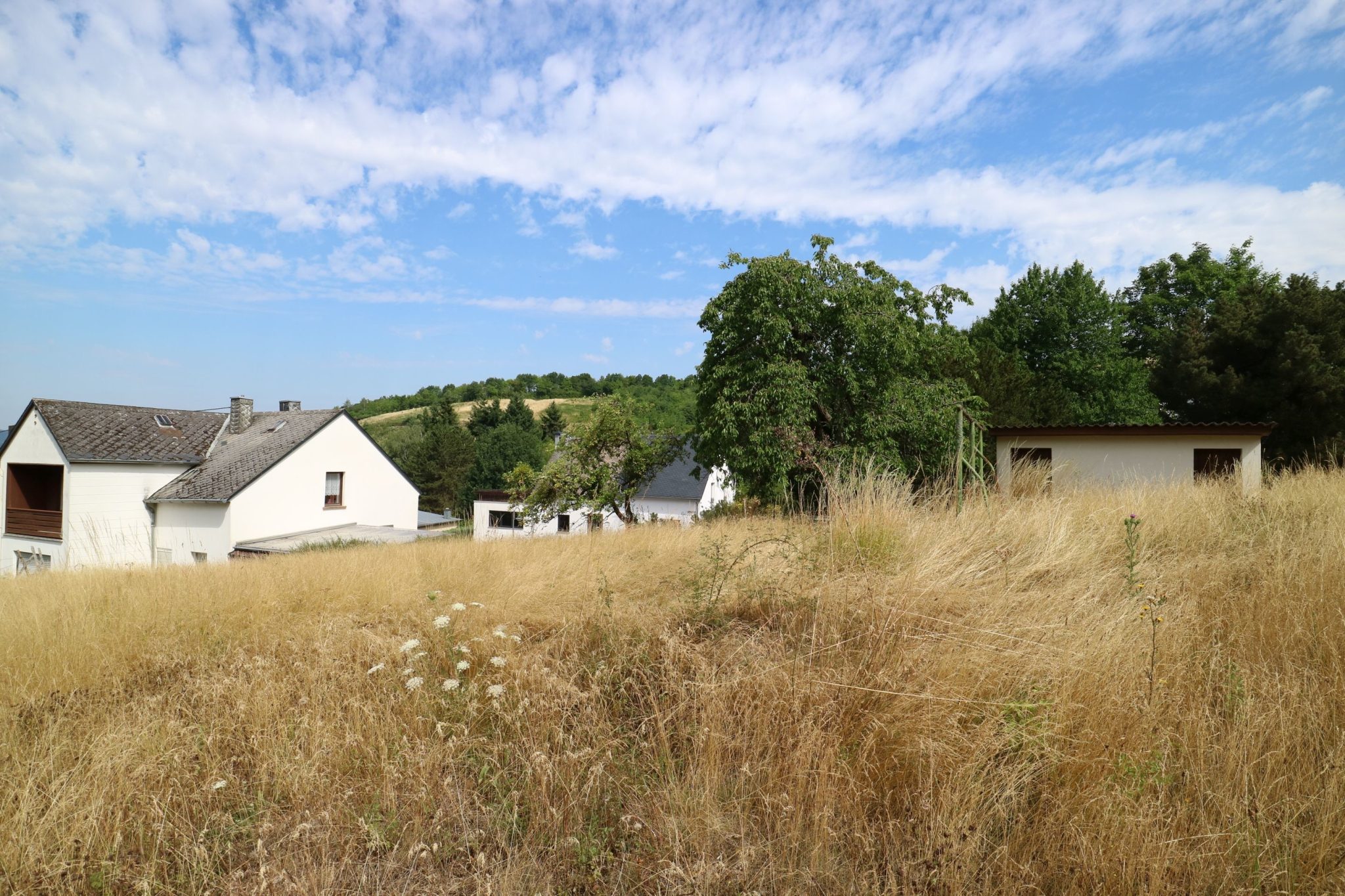 Volksbank Trier Eifel Immobilien GmbH - Immobilienangebot - Mertesdorf - Grundstücke - Sonniges Baugrundstück im schönen Ruwertal
