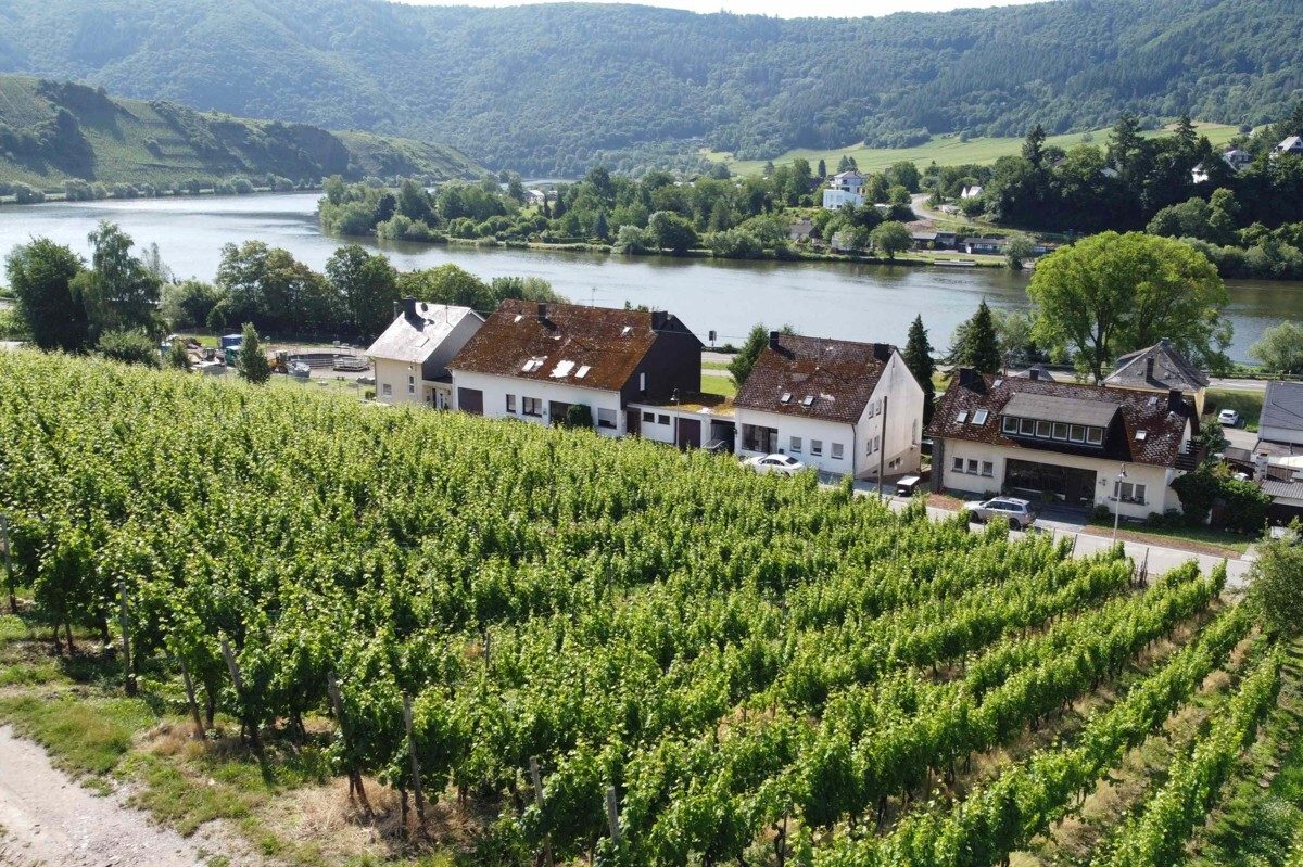 Volksbank Trier Eifel Immobilien GmbH - Immobilienangebot - Mehring - Grundstücke - Baugrundstück mit Weitblick: Gestalten Sie Ihr Zuhause in Mehring