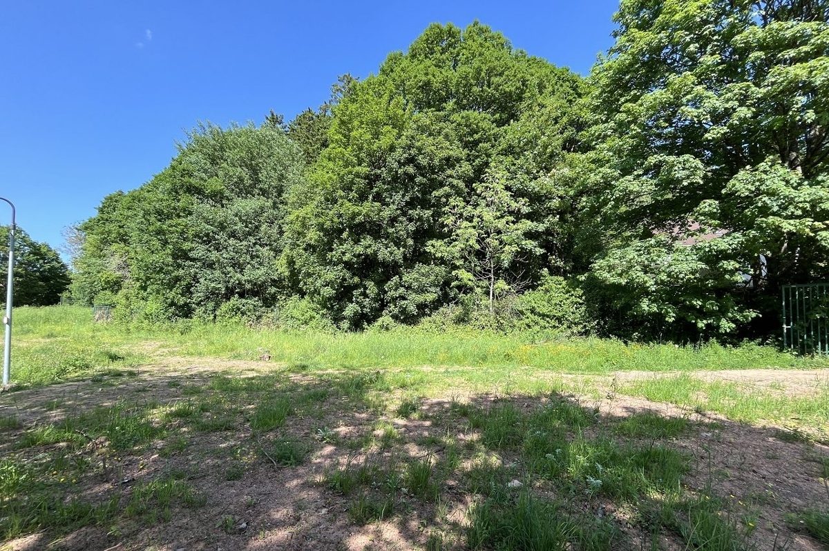Volksbank Trier Eifel Immobilien GmbH - Immobilienangebot - Prüm - Grundstücke - Neues Wohn- und Baugebiet in der Waldstadt Prüm, „Am Tettenbach“