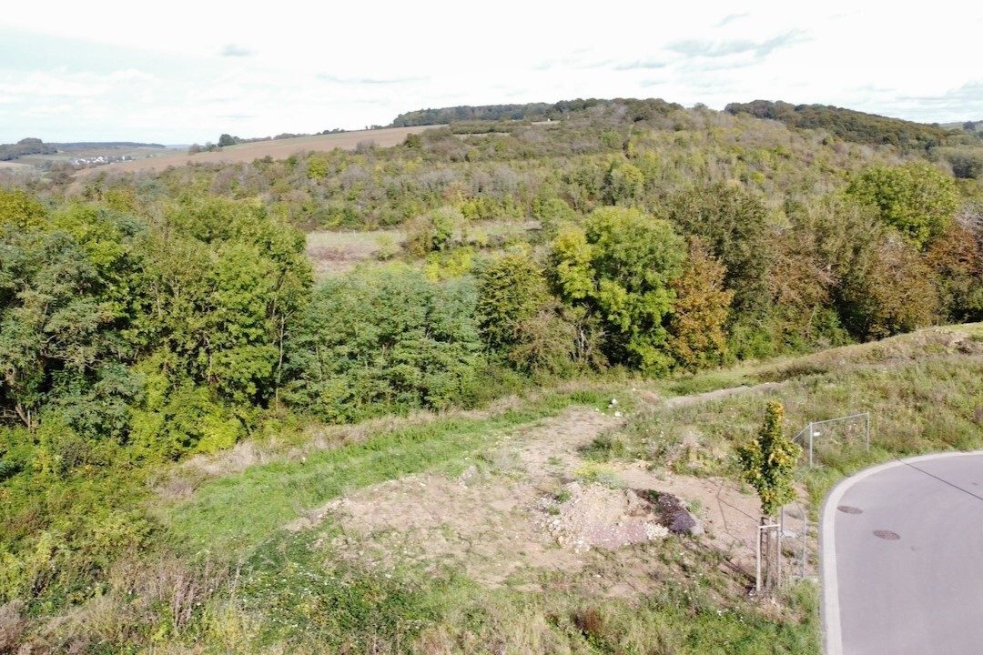 Volksbank Trier Eifel Immobilien GmbH - Immobilienangebot - Wincheringen - Grundstücke - Baugrundstück in Wincheringen "Auf Mont"