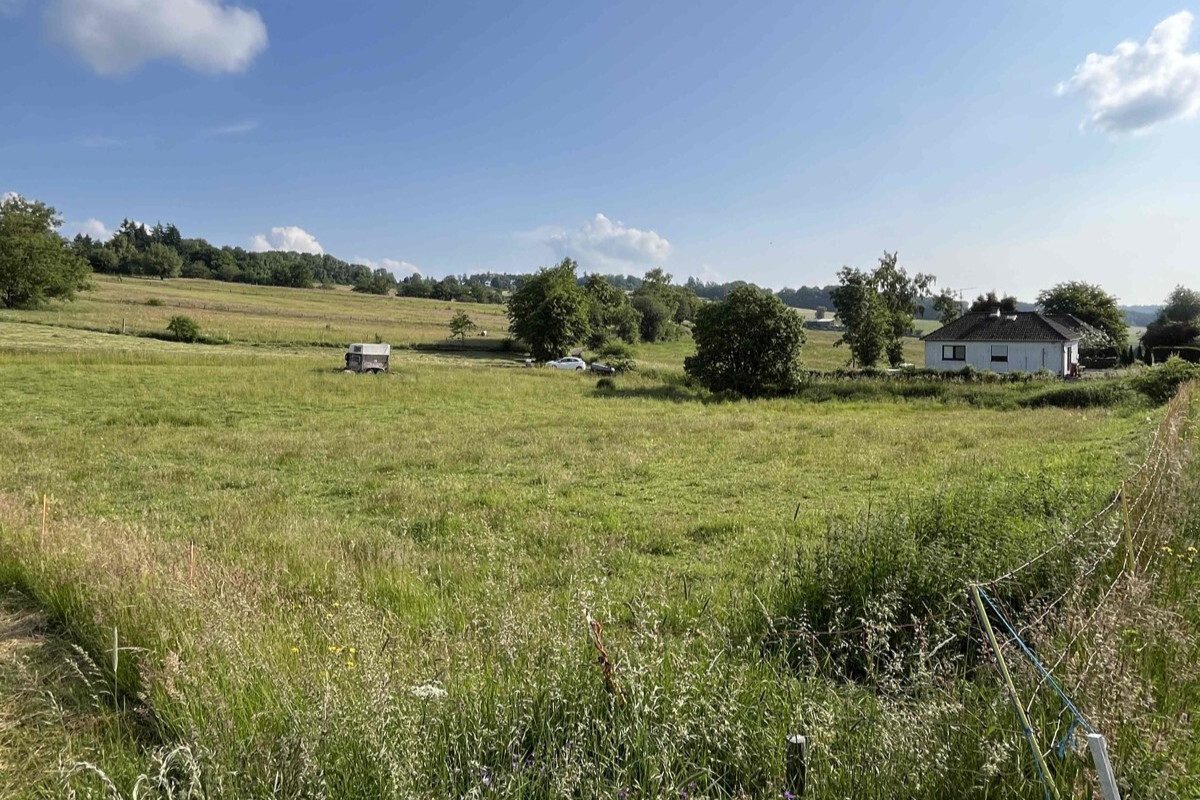 Volksbank Trier Eifel Immobilien GmbH - Immobilienangebot - Stadtkyll-Schönfeld - Grundstücke - Stadtkyll-Schönfeld: Naturnahes Grundstück mit guter Verkehrsanbindung