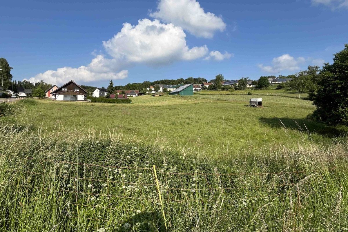 Volksbank Trier Eifel Immobilien GmbH - Immobilienangebot - Stadtkyll-Schönfeld - Grundstücke - Stadtkyll-Schönfeld: Naturnahes Grundstück mit guter Verkehrsanbindung
