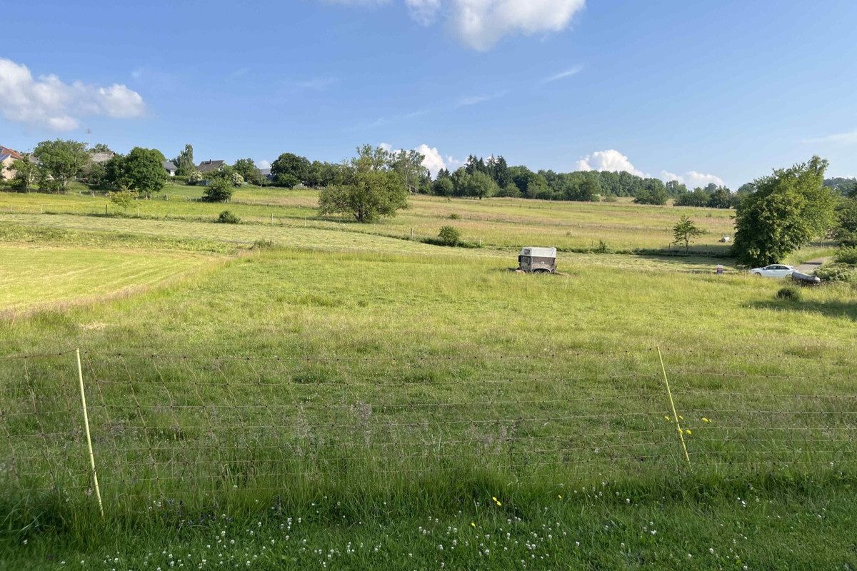 Volksbank Trier Eifel Immobilien GmbH - Immobilienangebot - Stadtkyll-Schönfeld - Grundstücke - Stadtkyll-Schönfeld: Naturnahes Grundstück mit guter Verkehrsanbindung