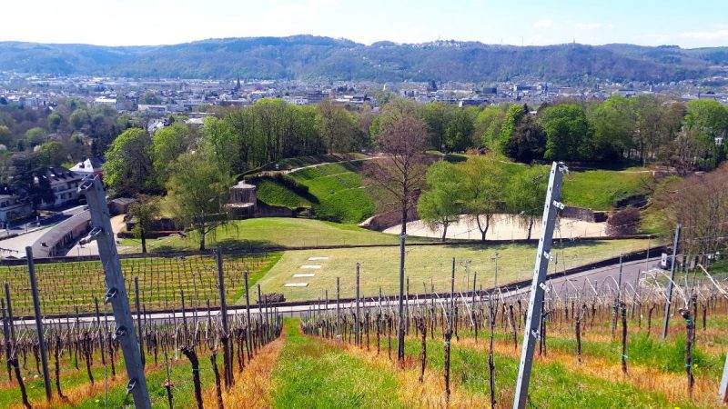 Die 5 beliebtesten Stadtteile von Trier - Trier-Olewig - Volksbank Trier Eifel Immobilien