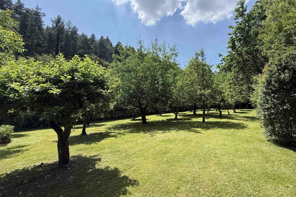 Volksbank Trier Eifel Immobilien GmbH - Immobilienangebot - Ensch - Grundstücke - Ein Ort zum Verlieben – Idyllisches Baugrundstück an der Mosel