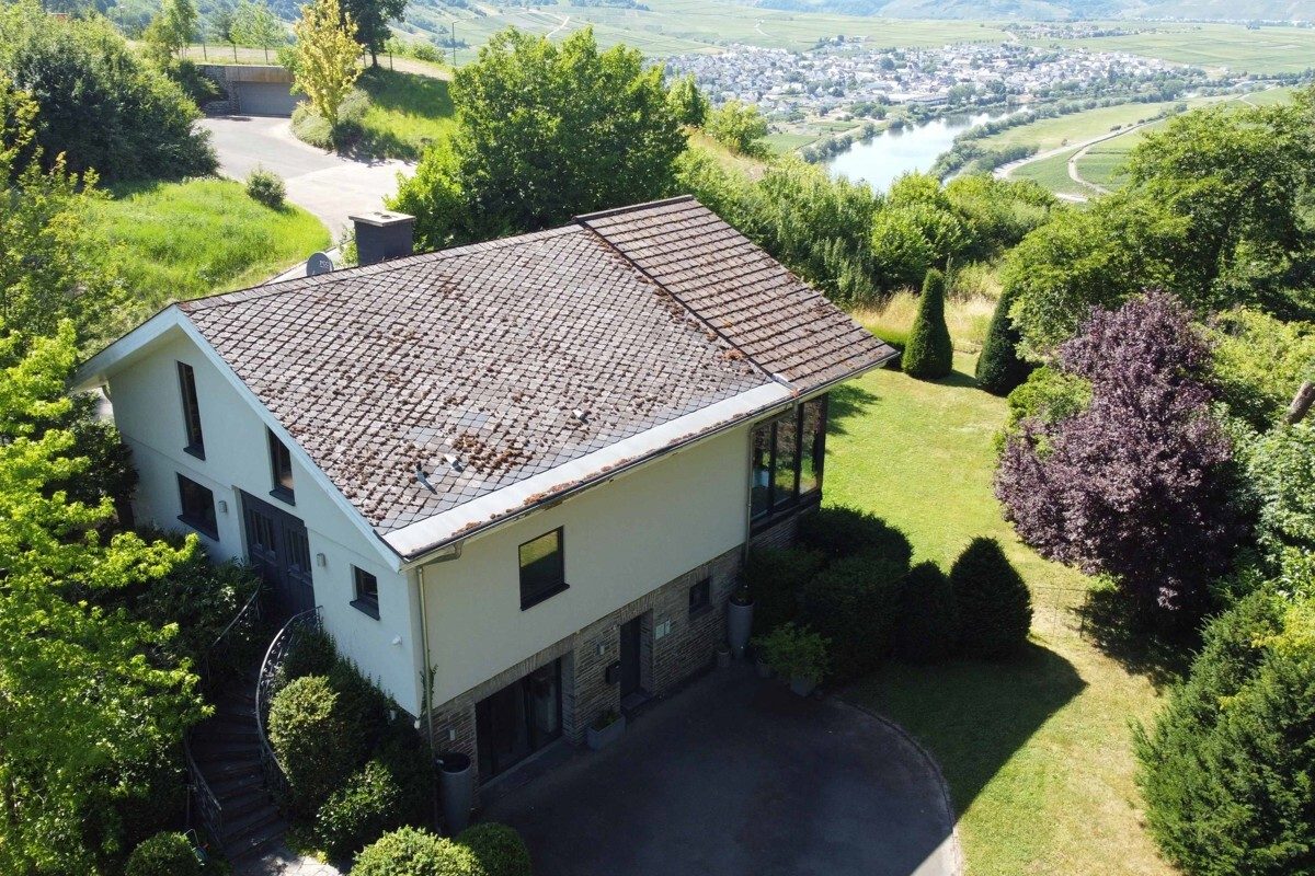 Volksbank Trier Eifel Immobilien GmbH - Immobilienangebot - Leiwen - Alle - Mit der Natur auf Augenhöhe - Exklusives Traumhaus in Leiwen