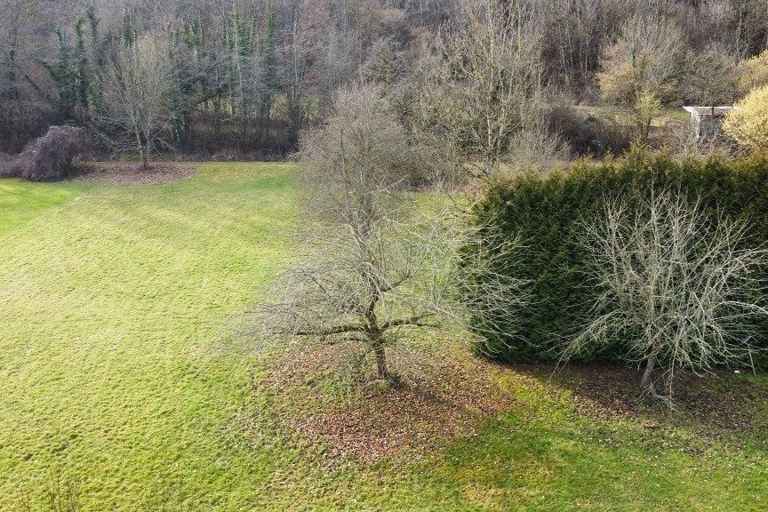 Volksbank Trier Eifel Immobilien GmbH - Immobilienangebot - Hüttingen an der Kyll - Alle - Ankommen im Grünen: Ihr Einfamilienhaus in Hüttingen an der Kyll