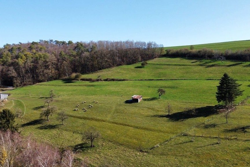 Volksbank Trier Eifel Immobilien GmbH - Immobilienangebot - Dahlem - Alle - Naturidylle in Dahlem: Einfamilienhaus mit großem Grundstück