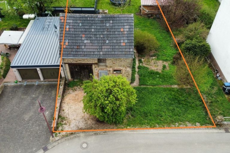 Volksbank Trier Eifel Immobilien GmbH - Immobilienangebot - Newel-Beßlich - Grundstücke - Newel-Beßlich: Ruhiges Baugrundstück mit Altbestand im Grünen