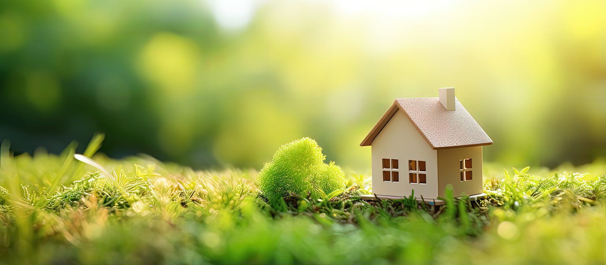 Informationen für niederländische Kaufinteressenten - Volksbank Trier Eifel Immobilien GmbH Informationen für niederländische Kaufinteressenten - Volksbank Trier Eifel Immobilien GmbH