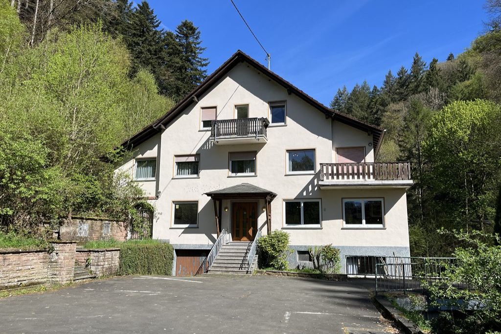 Volksbank Trier Eifel Immobilien GmbH - Immobilienangebot - Malberg - Alle - Naturidylle in Malberg – ehemalige Pension mitten im Grünen
