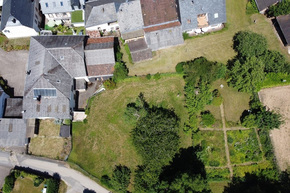 Volksbank Trier Eifel Immobilien GmbH - Immobilienangebot - Konz-Krettnach - Alle - Einfamilienhaus in Konz-Krettnach – Ehemaliges Winzeranwesen mit großem Grundstück