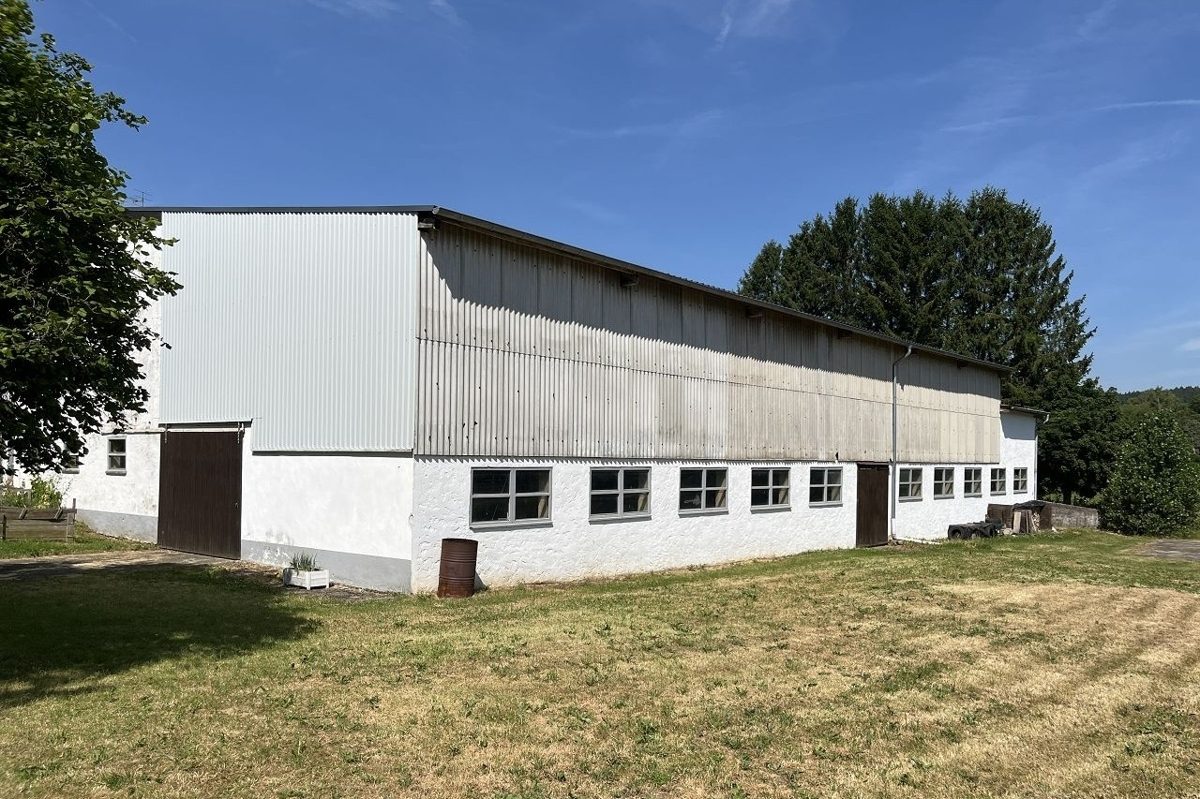 Volksbank Trier Eifel Immobilien GmbH - Immobilienangebot - Kerpen (Eifel) - Alle - Interessante Immobilie mit Vermietungspotenzial und großem Grundstück in Kerpen (Eifel)