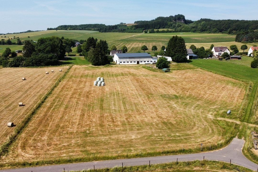 Volksbank Trier Eifel Immobilien GmbH - Immobilienangebot - Kerpen (Eifel) - Alle - Interessante Immobilie mit Vermietungspotenzial und großem Grundstück in Kerpen (Eifel)