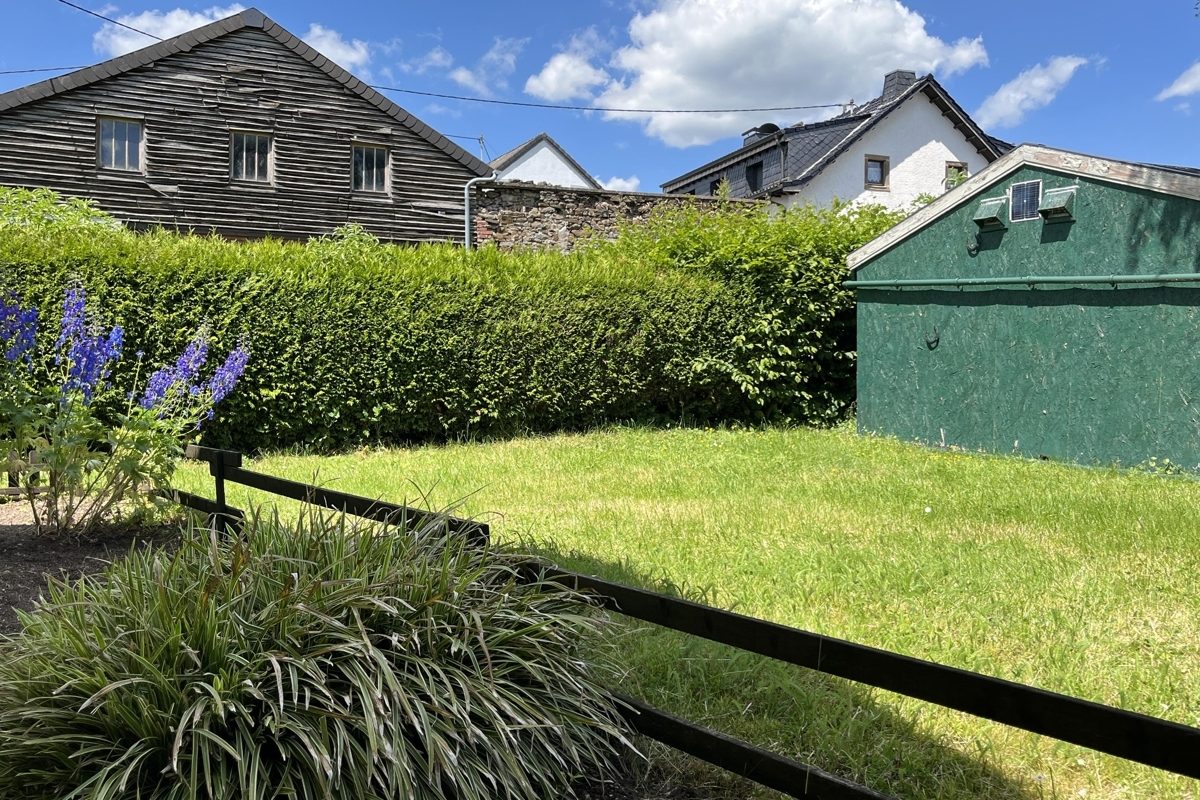 Volksbank Trier Eifel Immobilien GmbH - Immobilienangebot - Bleialf - Alle - Raum für Visionen: Großzügiges Einfamilienhaus mit Einliegerwohnung in Bleialf