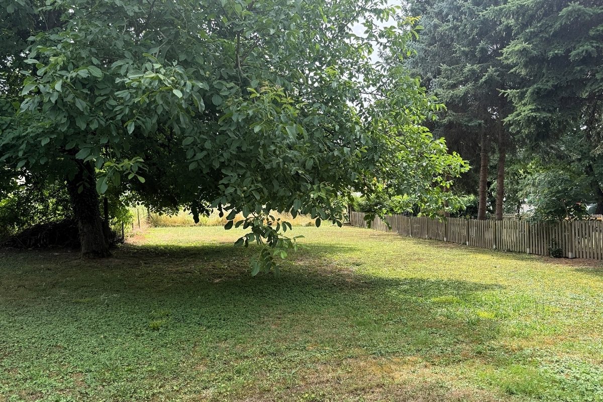 Volksbank Trier Eifel Immobilien GmbH - Immobilienangebot - Temmels - Alle - Viel Platz in Grenznähe: Einfamilienhaus mit großem Garten