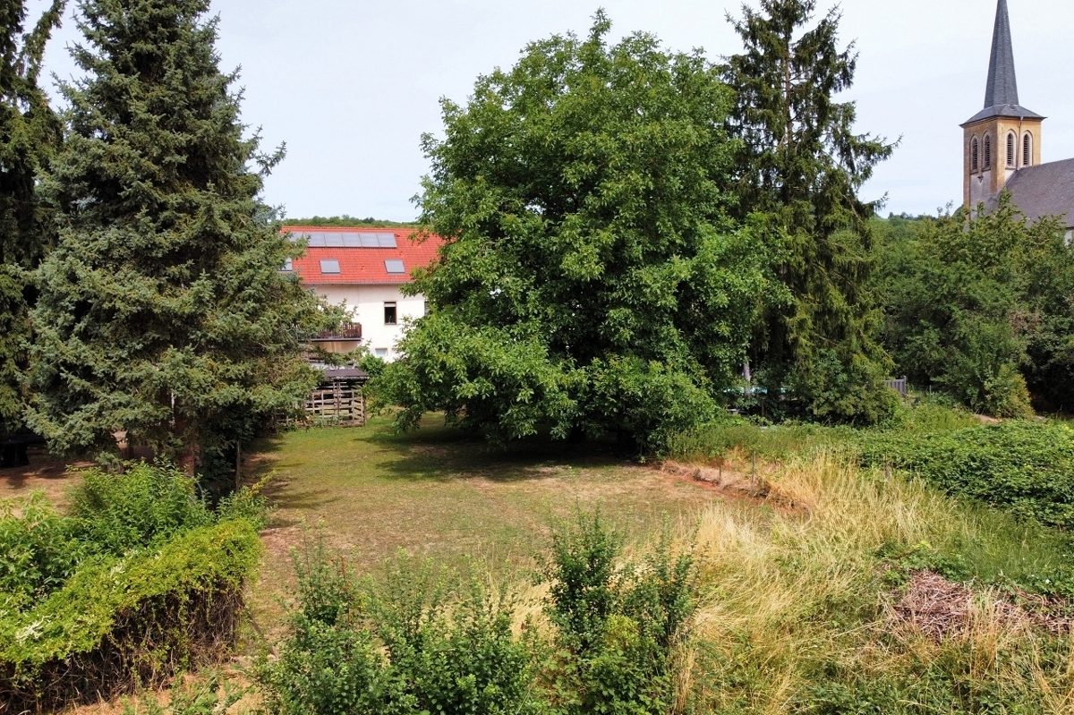 Volksbank Trier Eifel Immobilien GmbH - Immobilienangebot - Temmels - Alle - Viel Platz in Grenznähe: Einfamilienhaus mit großem Garten
