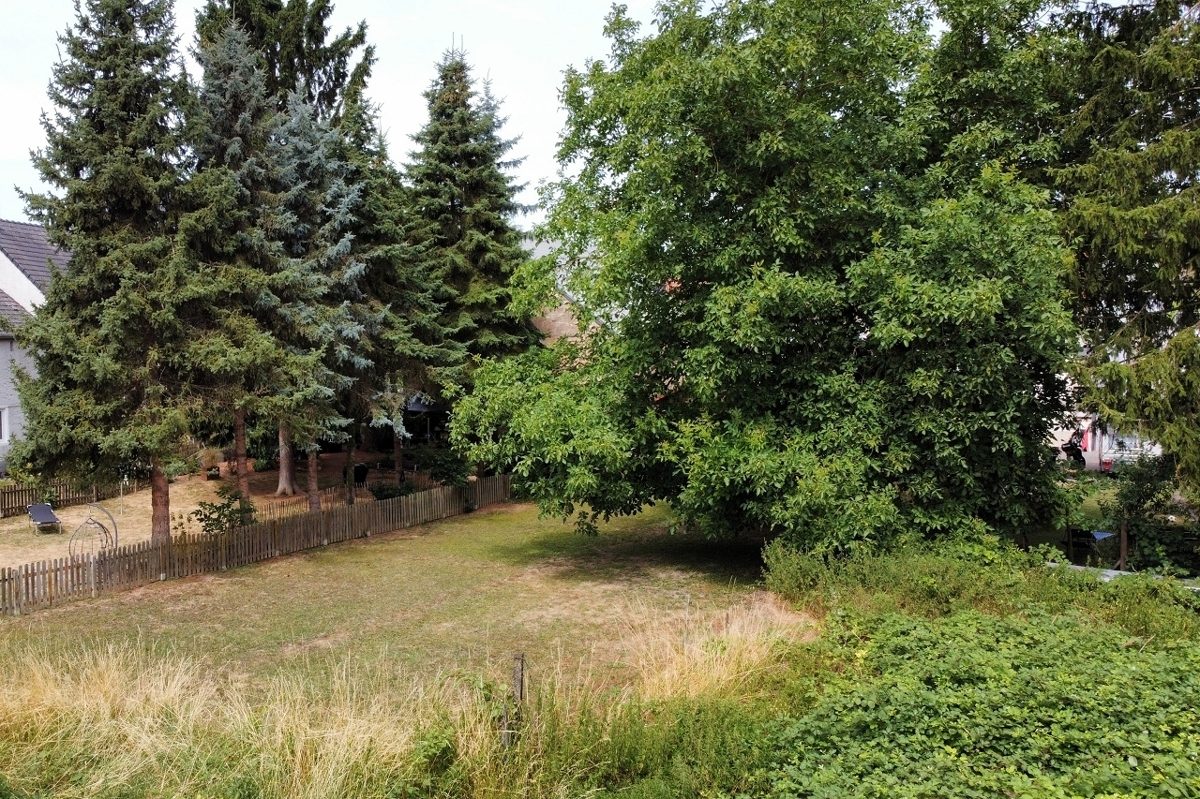Volksbank Trier Eifel Immobilien GmbH - Immobilienangebot - Temmels - Alle - Viel Platz in Grenznähe: Einfamilienhaus mit großem Garten
